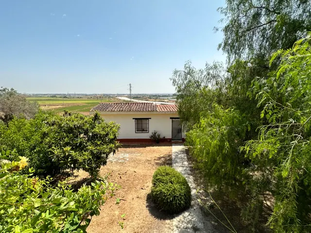 Exclusiva finca rústica con chalet independiente en la carretera Coria del Río - Palomares — 32