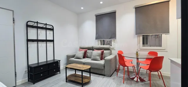 Piso 1 habitación 33m² en alquiler - Lavapiés-Embajadores - foto 2