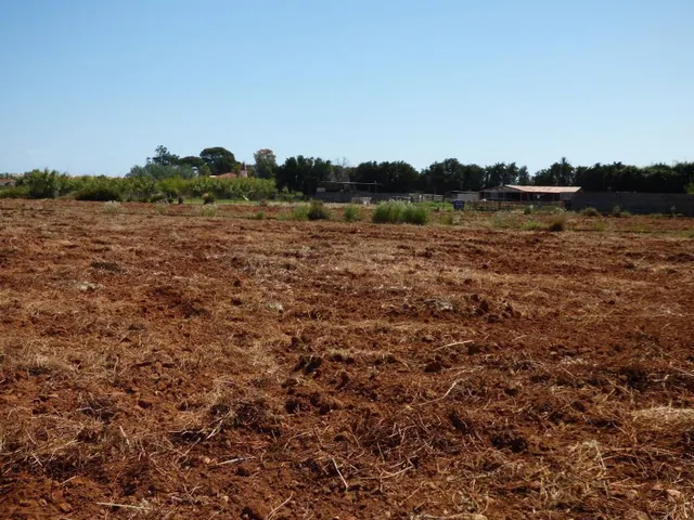 Terreno rural en venta - La Pedrera-Vessanes - foto 2