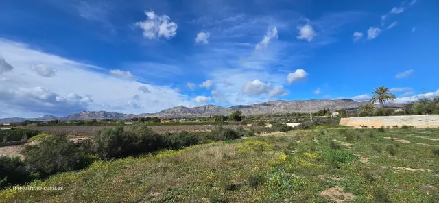 Terreno rural en venta - Comunidad valenciana - foto 5