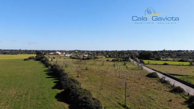 Terreno rústico con licencia cerca del pueblo de Ses Salines - foto 3