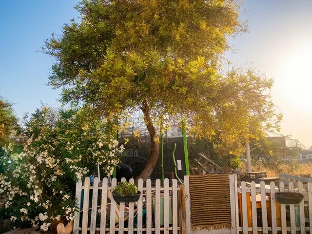 Tu refugio mediterráneo frente a la laguna rosa: un bungalow con amplio patio y muchas posibilidades — 17