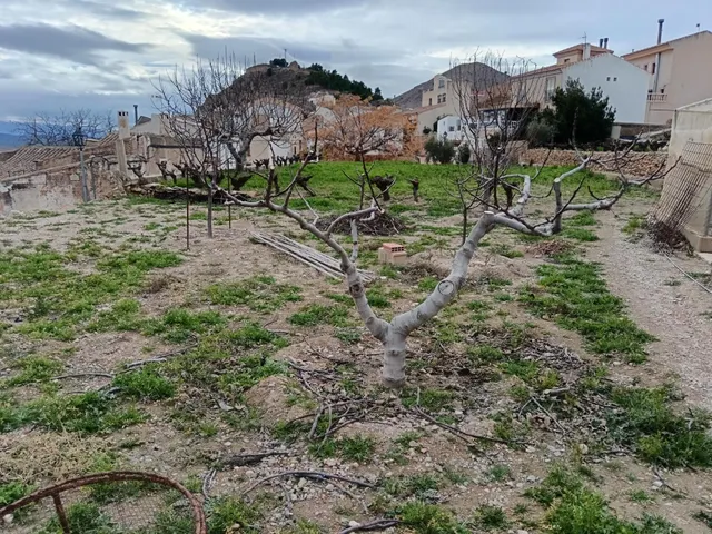 Oportunidad única en Oría (Almería) — 4