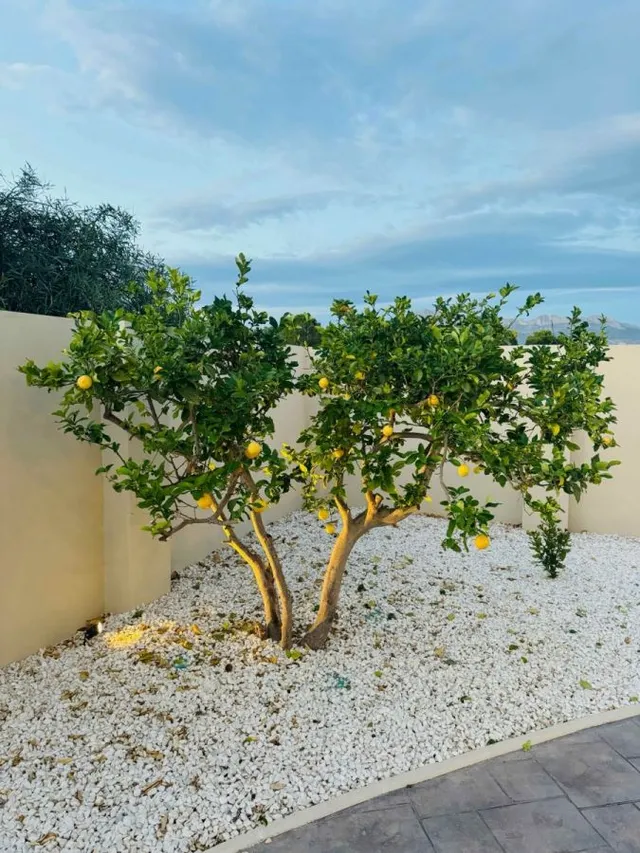 Villa 4 habitaciones 350m² en venta - Pueblo — 42