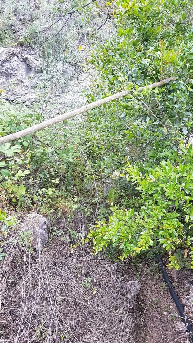 Finca rústica a la venta en Comares — 18