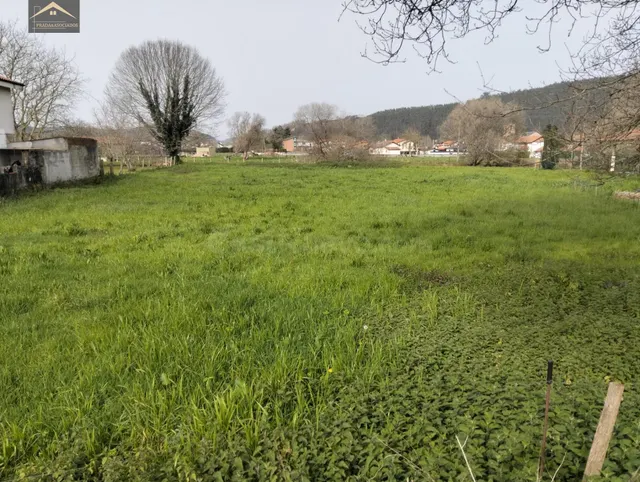 FINCA URBANA 2118M2 EN ONTORIA (CABEZON DE LA SAL) - foto 5