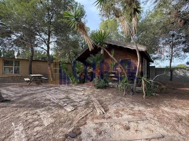 ✨ Una finca única para quienes buscan mucho más que una vivienda, en Alicante Tangel. — 38