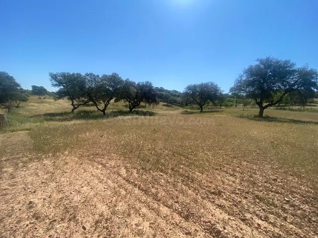 VENTA PARCELA CAMPOMANES - foto 4