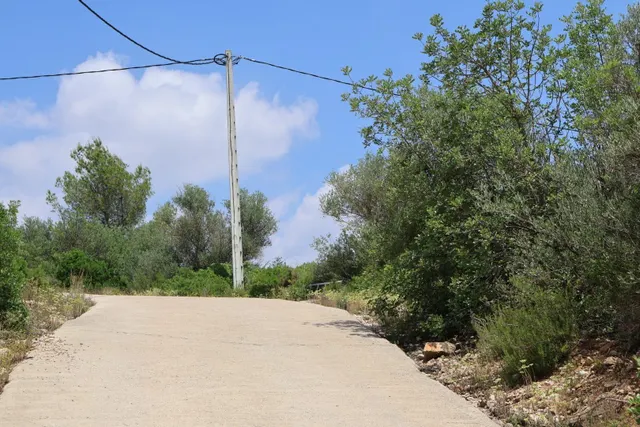 MASIA RUSTICA EN DOS HECTAREAS DE TERRENO ZONA POU DE BECA — 17