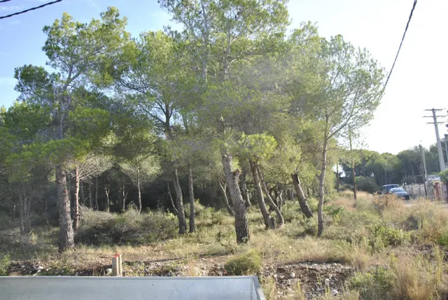 Parcela Rústica en el municipio de Cubelles, 5.560 mts2 Corral d'en Cona — 16