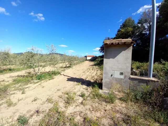 Terreno rural en l'Aleixar — 22