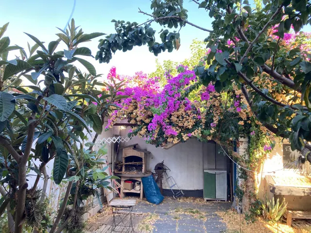 CASA PLANTA BAJA CON 2 VECINOS CON JARDÍN — 31