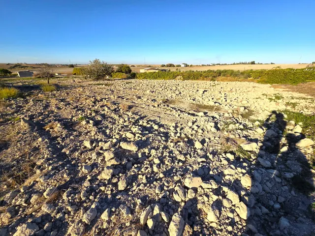 Parcela segregada de 2.235 m/2  en el marquesado con cuarto de aperos y pozo – Chiclana de la Frontera — 26