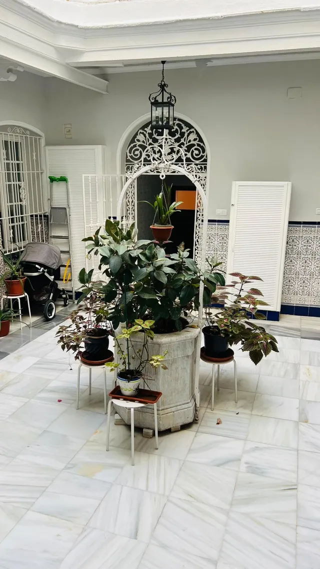 ZONA TORRE TAVIRA - CÁDIZ - ¡PISO MUY LUMINOSO, REFORMADO CON 2 DORMITORIOS! — 20