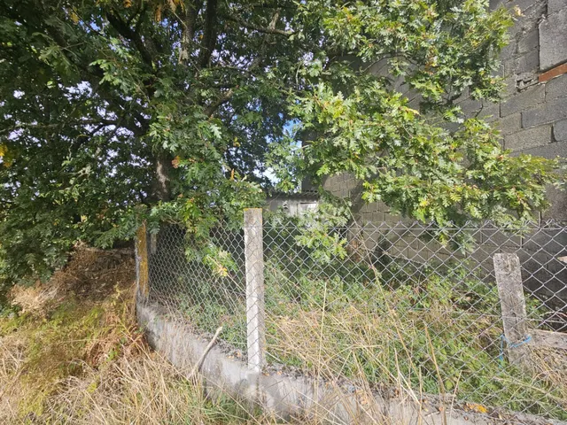 En exclusiva!!!!se vende casa  para entrar  a vivir con 12000 m2 de terreno en codosedo — 27