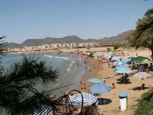 Amplio apartamento de 3 dormitorios a 600 metros de la playa y servicios — 37