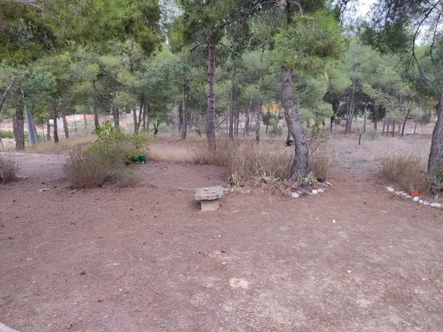CASA DE CAMPO EN EL PARAJE DE SAN JOSE CON LUZ Y AGUA DOMÉSTICA — 10