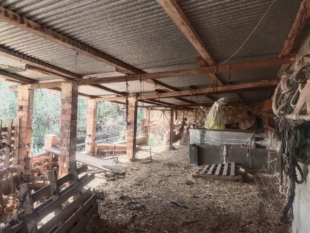 Terreno Urbano — 7
