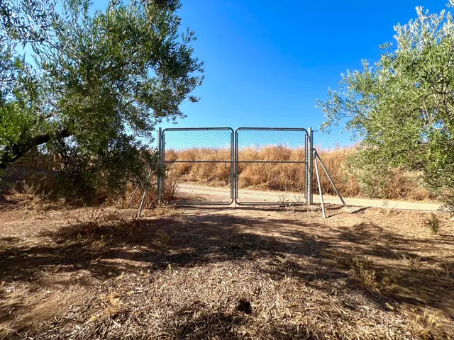 ALBOLOTE - PANTANO CUBILLAS — 41
