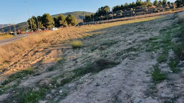 Terreno rural 66100m² en venta - Comunidad valenciana - foto 4