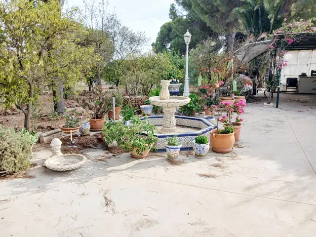 FINCA CON VIVIENDA EN BONARES (HUELVA) — 14