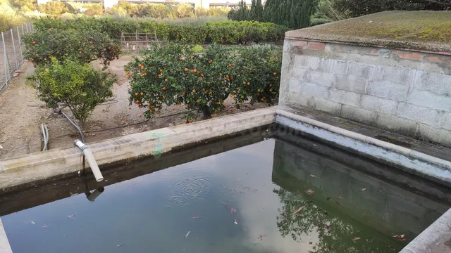 Terreno en venta en Amposta para cultivar tus plantas - foto 4