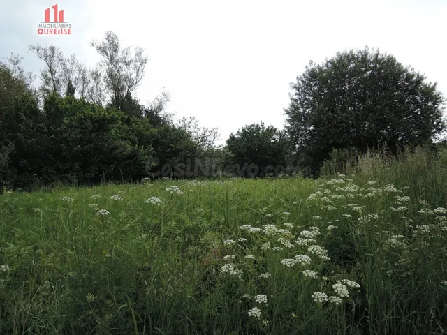 FINCA URBANIZABLE PRÓXIMA A BÓVEDA — 4