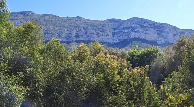 Terreno en venta en zona galeretes — 35