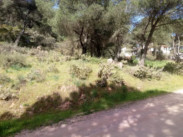 PARCELA URBANIZACIÓN JARAS - foto 2