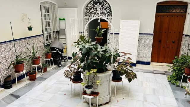 ZONA TORRE TAVIRA - CÁDIZ - ¡PISO MUY LUMINOSO, REFORMADO CON 2 DORMITORIOS! — 21