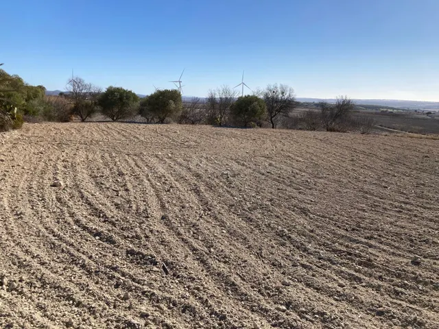 SE VENDE PARCELA SEGREGADA EN EL FONTANAR - foto 5