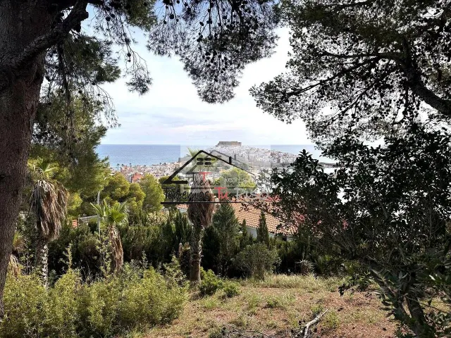FINCA EN ATALAYAS CON VISTAS FRONTALES AL CASTILLO DE PEÑISC