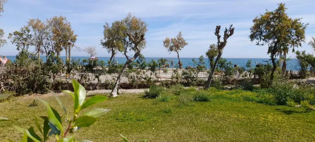 Planta baja en primera línea de playa en urbanización Naturi - foto 3