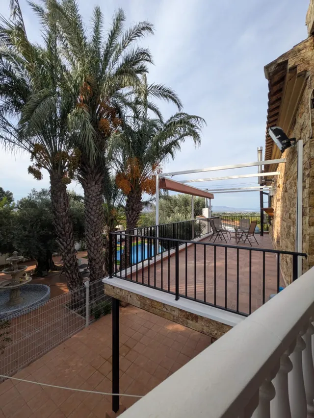 ESPECTACULAR FINCA CON CASA, PISCINA PRIVADA Y PLANTACIÓN DE LIMONEROS EN JACARILLA — 10