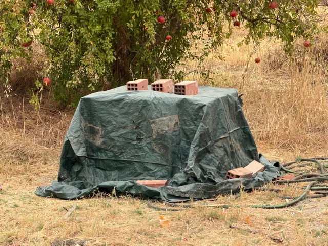 ¡Ocasión en Trigueros! Finca rústica totalmente legalizada con excelente acceso y gran tranquilidad — 11