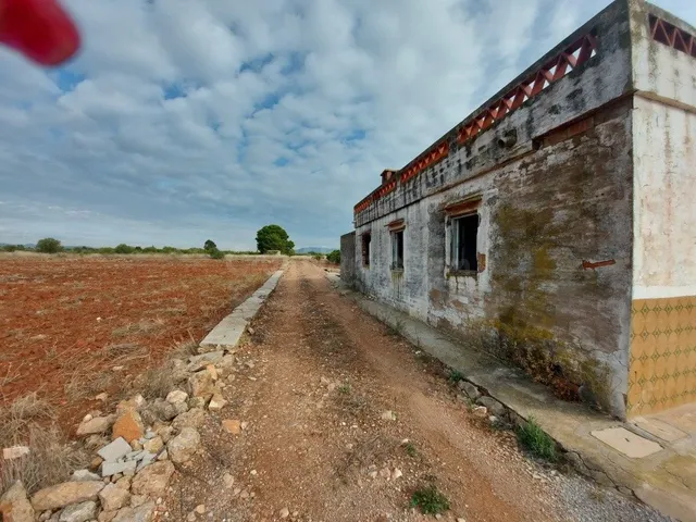 VILLARREAL. PARCELA EN ZONA LA FLORIDA CON CASA - foto 3