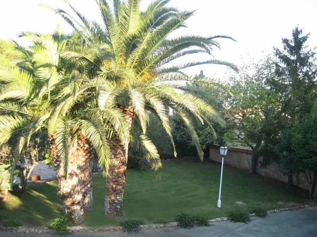 Chalet en Camí Els Presos - Ontinyent — 5