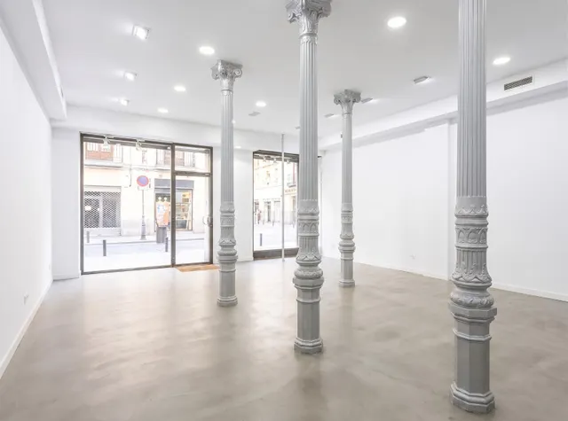 Local comercial 292m² en alquiler - Sol