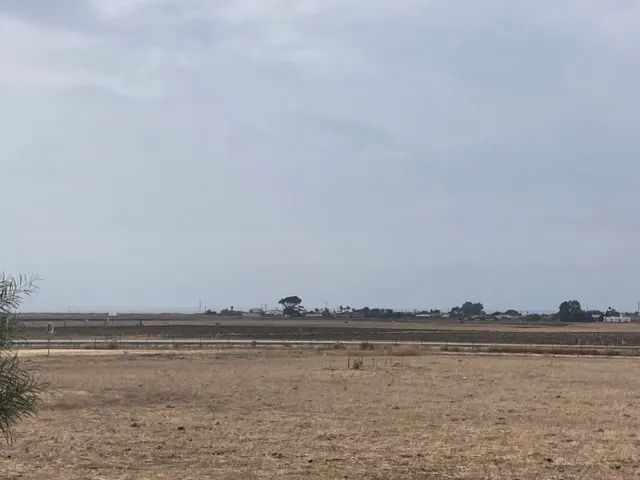 PARCELA RÚSTICA EN LA CARRETERA VEJER- EL PALMAR — 6