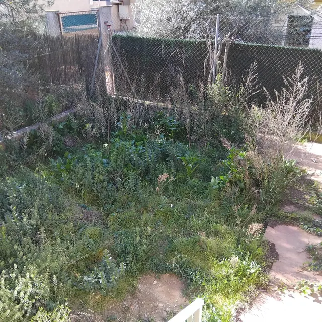 Chalet adosado 210 mt y Jardin 50 mt sol todo el día — 15