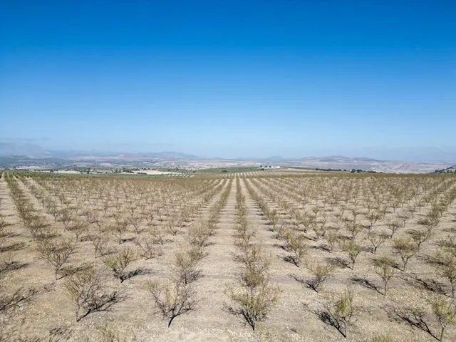 IMPRESIONANTE OPORTUNIDAD DE INVERSIÓN EN ALAMEDILLA!! — 14