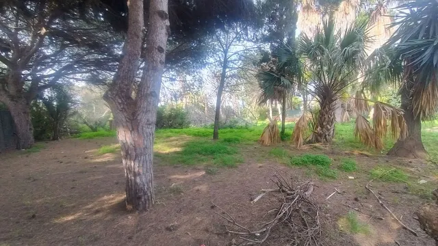 Parcela 727m² en venta - Marbella — 3