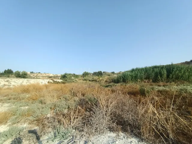 SE VENDE PARCELA RÚSTICA EN ALGUAZAS - foto 5