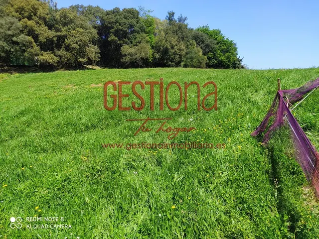 TERRENO RÚSTICO 17.933M2 EN CASTILLO SIETE VILLAS — 11