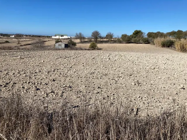 SE VENDE PARCELA SEGREGADA EN EL FONTANAR - foto 3