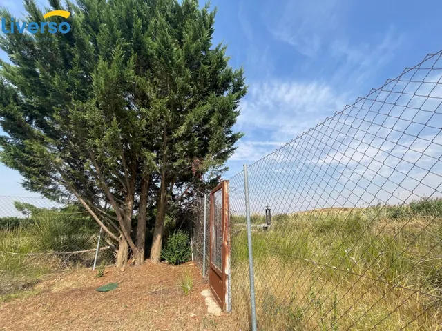 terreno de 5.000m2 vallado, en Aranda de Duero - foto 4