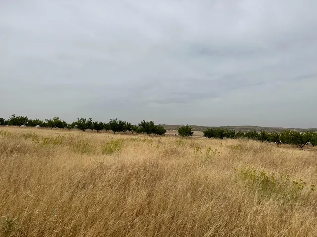 VENTA DE SOLAR INDUSTRIAL EN CHIMENEAS — 39