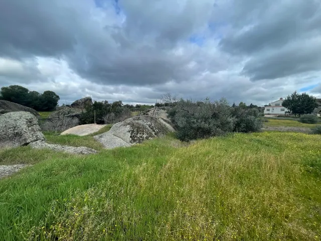 Terreno rural Malpartida de Cáceres - foto 3