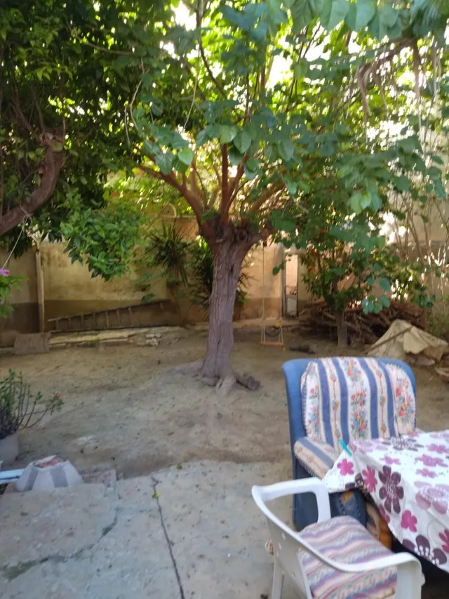 Se vende casa para reformar en Guardamar del Segura (Alicante). — 3