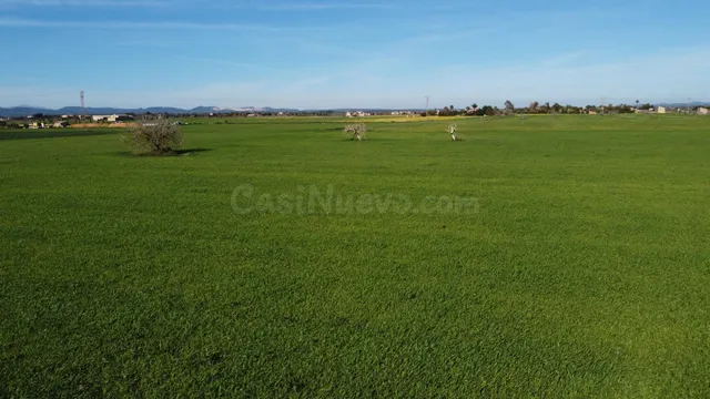 Amplia Parcela en Campos - foto 4